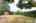 Blurred preview of media: IMG_6260 copy 2