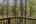 Blurred preview of media: 334 N Pine Meadows Rd - 48