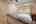 Blurred preview of media: PAX_0528