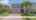 Blurred preview of media: ipixx-3