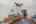 Blurred preview of media: 13-pautuck-road-highland-lakes-nj-usa-house-028