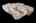 Blurred preview of media: iPixx_01_55