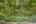 Blurred preview of media: 12-0_SW_Upper_Dr_vacantlot