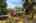 Blurred preview of media: 1-30