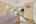 Blurred preview of media: DSC02272