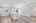 Blurred preview of media: DSC07027
