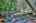 Blurred preview of media: 9zs