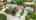 Blurred preview of media: 39