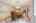 Blurred preview of media: 24 Rocky Dundee Road Bolton Massachusetts Job 40312 0015