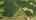 Blurred preview of media: Outline2