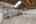 Blurred preview of media: 43-old-mill-drive-denville-nj-usa-house-006