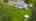 Blurred preview of media: DJI_0809