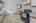 Blurred preview of media: 13