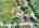 Blurred preview of media: DJI_20260804134427_0934_D_5_D_6_D_easyHDR