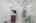 Blurred preview of media: DSC_6487