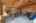 Blurred preview of media: 1-28