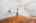 Blurred preview of media: 2-826-5483