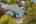 Blurred preview of media: 1-47