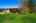 Blurred preview of media: 20260514L_lg_JW0027