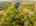 Blurred preview of media: 817 Brill Road Aerial LRCF-66