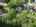 Blurred preview of media: DJI_20260723164205_0020_D