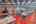 Blurred preview of media: IMG_4777_8_9