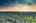 Blurred preview of media: 106 Cranarch Landing SE-49