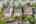 Blurred preview of media: 004