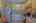 Blurred preview of media: IMG_5081_2_3