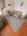 Blurred preview of media: ebe67de0-a25d-41c7-a48d-64f06e9be493