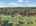Blurred preview of media: 370-goffle-road-hawthorne-nj-usa-drone-004