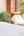 Blurred preview of media: A-21
