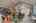 Blurred preview of media: 1109 Peek Ave-137