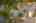 Blurred preview of media: Aerial 03