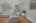 Blurred preview of media: 48