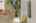 Blurred preview of media: Interior Pro Images 3098 Espana Ln FULL SHOOT-82