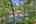 Blurred preview of media: IMG_4721_2_3_easyHDR