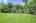 Blurred preview of media: DSC02319