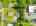 Blurred preview of media: 1-726-