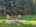 Blurred preview of media: 20260511_171508