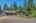 Blurred preview of media: 43