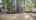 Blurred preview of media: Exterior 01