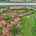 Blurred preview of media: DJI_20261007104313_0021_D_FPP