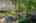 Blurred preview of media: 20250908L_lg_JW0071