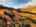 Blurred preview of media: DJI_0106_hdr (1)