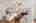Blurred preview of media: 1-13