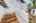 Blurred preview of media: iPixx_01_113
