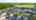 Blurred preview of media: 66