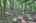 Blurred preview of media: IMG_4631_2_3_easyHDR