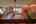 Blurred preview of media: IMG_4520_1_2